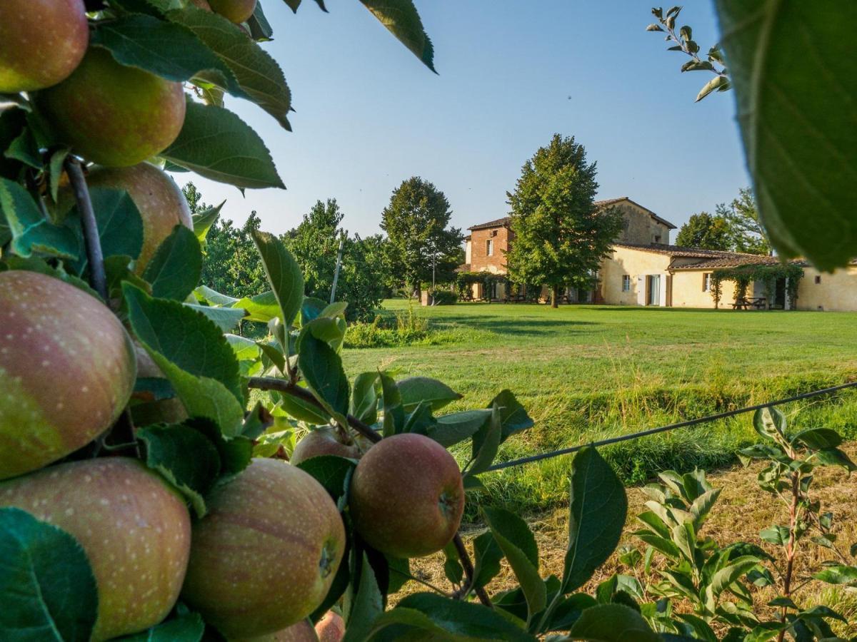 Foresteria Il Giardino Di Fontarronco Alberoro Екстериор снимка