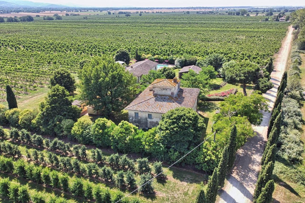 Foresteria Il Giardino Di Fontarronco Alberoro Екстериор снимка